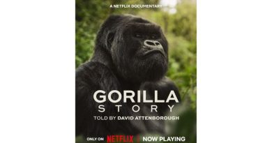 УСПЕХ ШТО ГО ВОСХИТИ СВЕТОТ: Документарецот на Дејвид Атенборо открива како планинските горили се вратија од работ на истребување