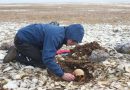 Решен мистериозниот случај на морнарите од експедицијата на Френклин од 19 век