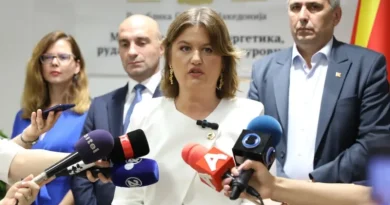 Божиновска: Можно е поевтинување на струјата поради ниските берзански цени и зголемените количини од обновливи извори