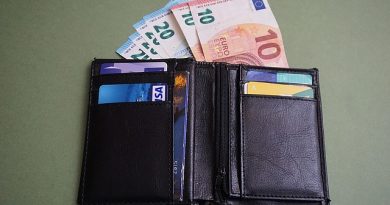 Хрватскиот јавен сектор сè уште има повисоки плати од приватниот сектор