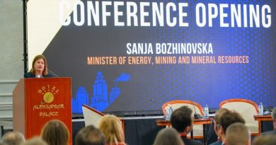 Божиновска: Соларната енергија е сегашноста, но идниот развој бара ред, план и силна мрежа