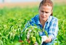 Руралните жени – тивки хероини во производството на храна и зачувувањето на природата