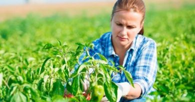 Руралните жени – тивки хероини во производството на храна и зачувувањето на природата